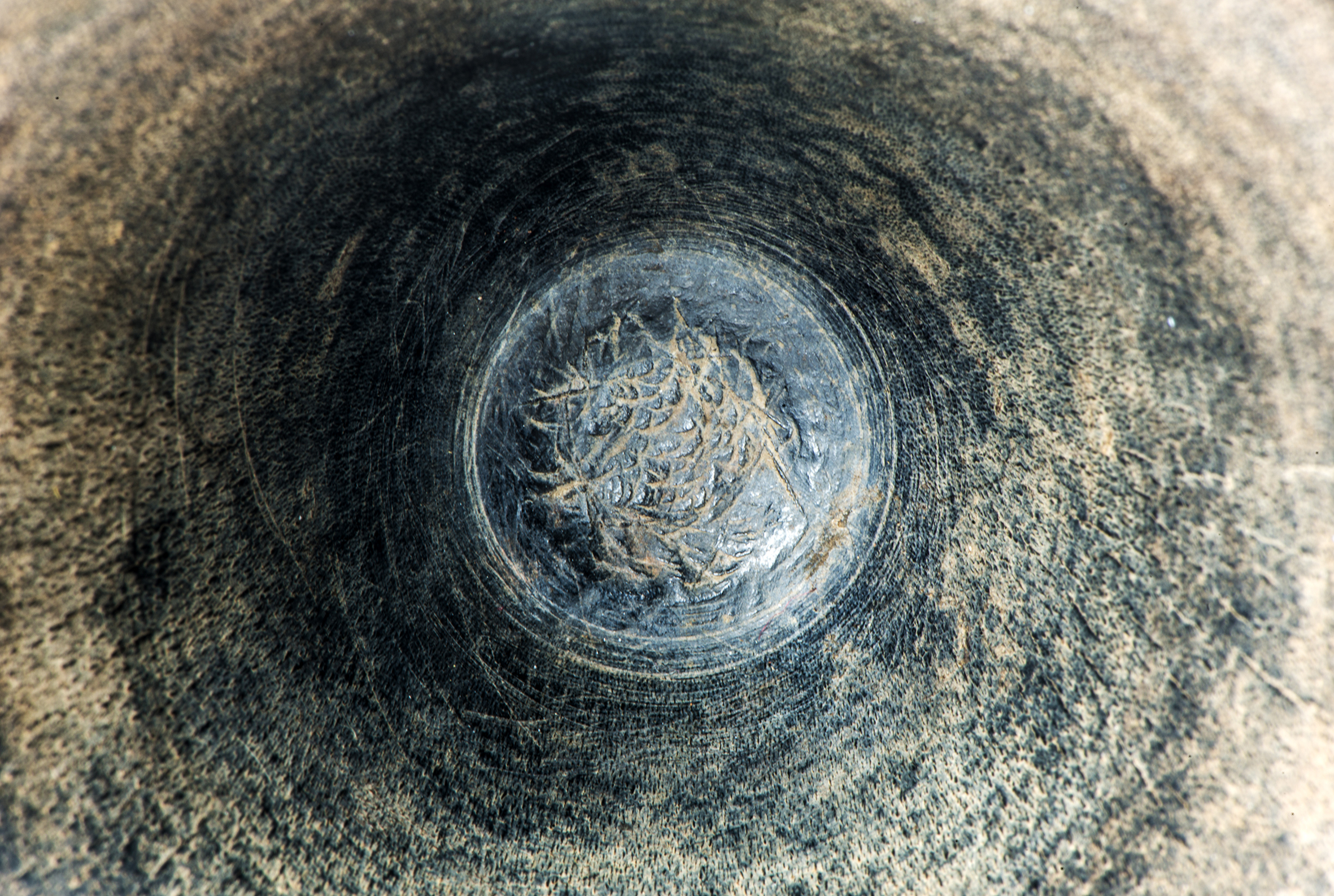 Figure 3: Micrograph of the cup’s bottom showing traces left by the manufacturing process (lathe). Photo E. Disner.
